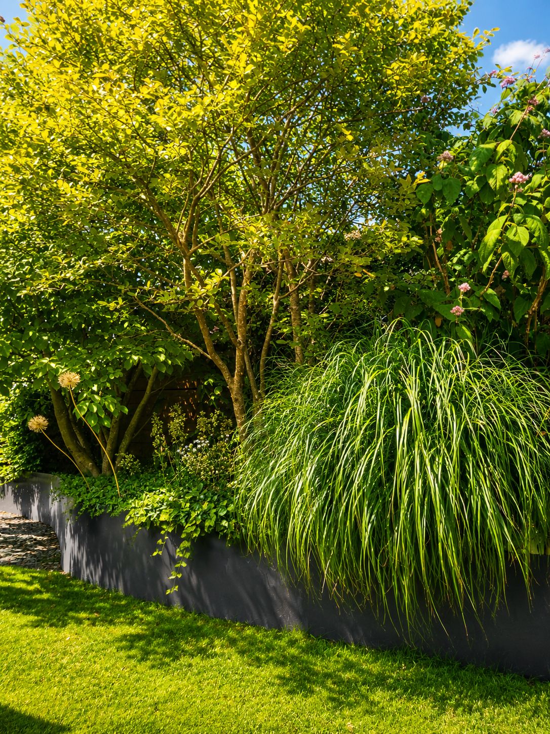 Jardin paysager réalisé