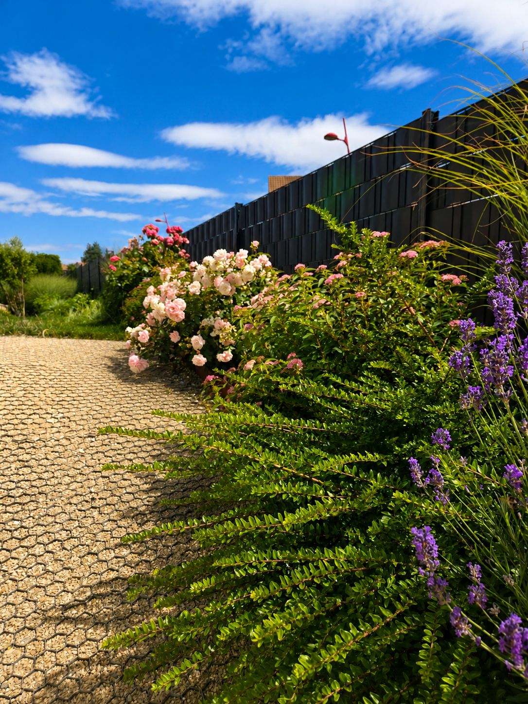 Jardin paysager