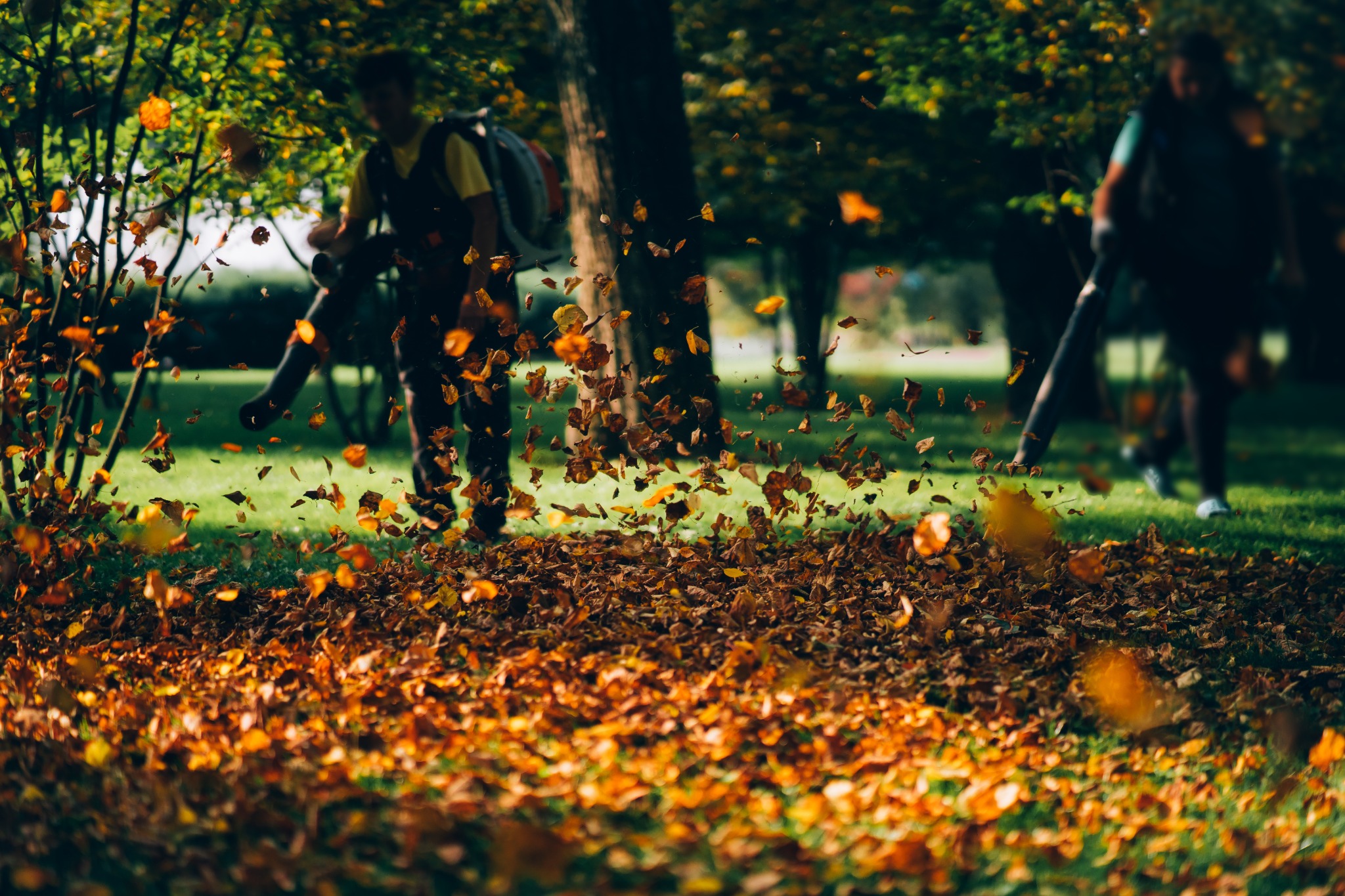 Nettoyage saisonnier des feuilles dans un jardin